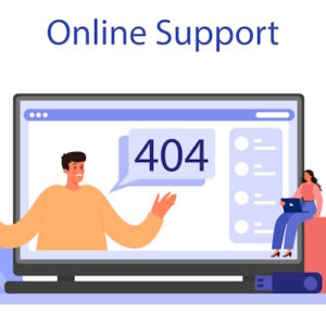 Soporte técnico sitio web (hora/fracción)